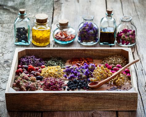 Exploring the Sacred: Wiccan Elixirs for Rituals and Spells